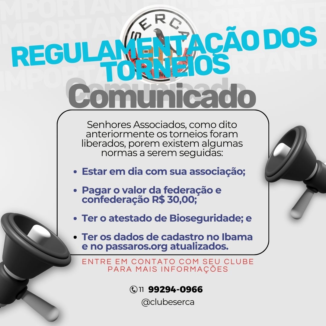 Torneios 2024