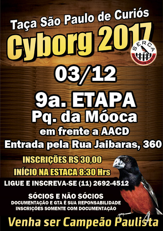 10etapa.jpg