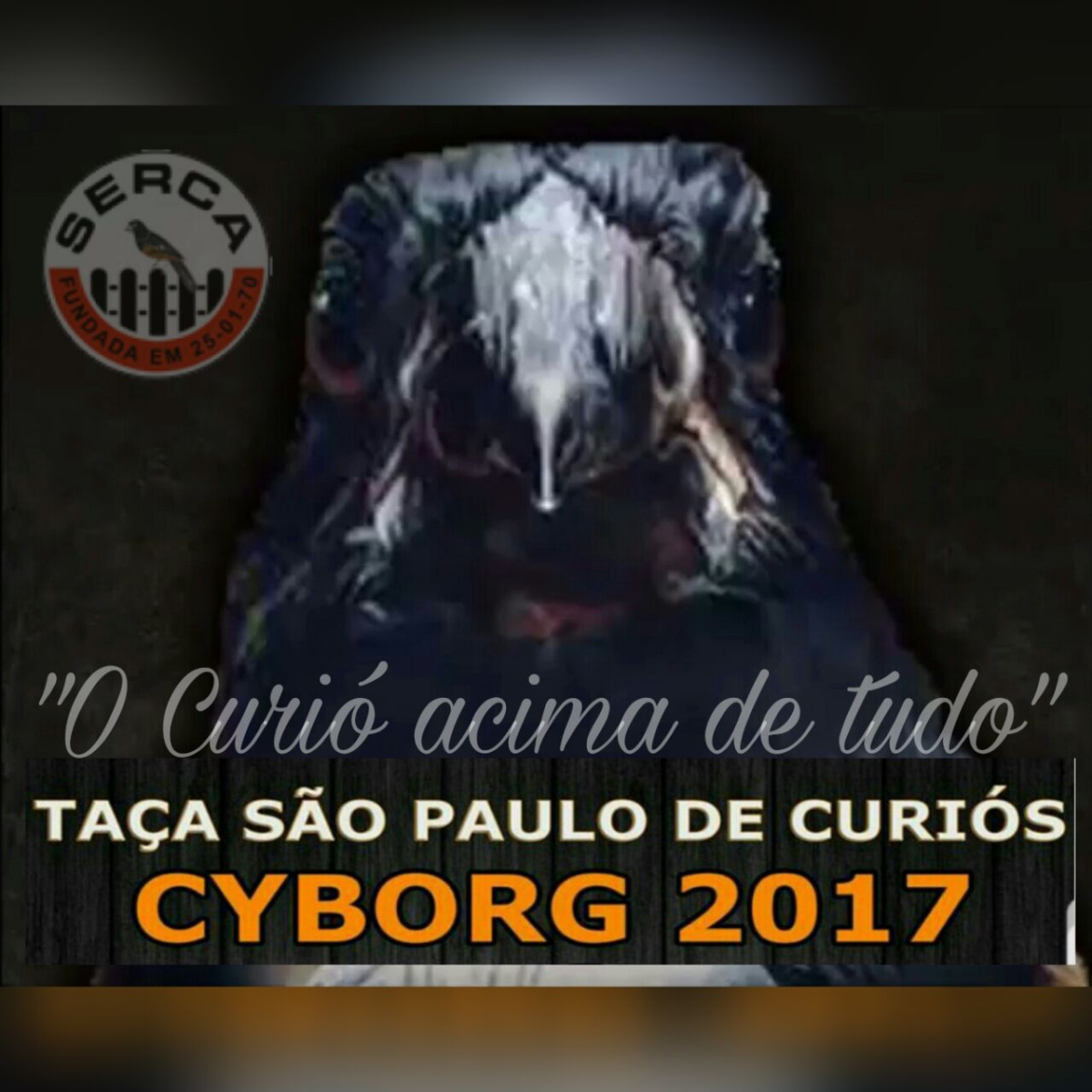 Cyborg1.jpeg