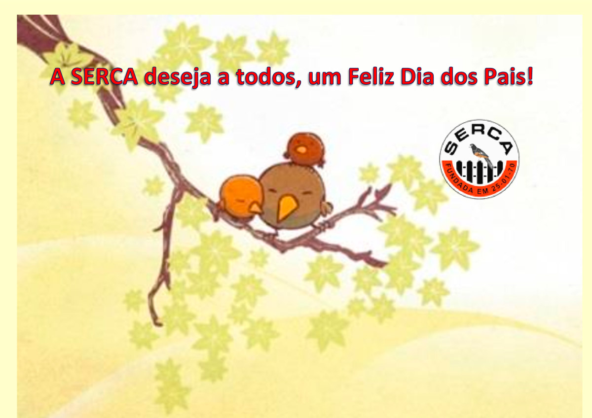 Dia-dos-Pais.jpg