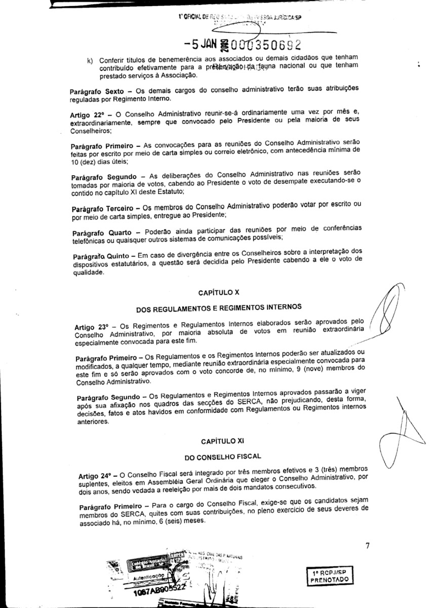 Estatuto07.jpg