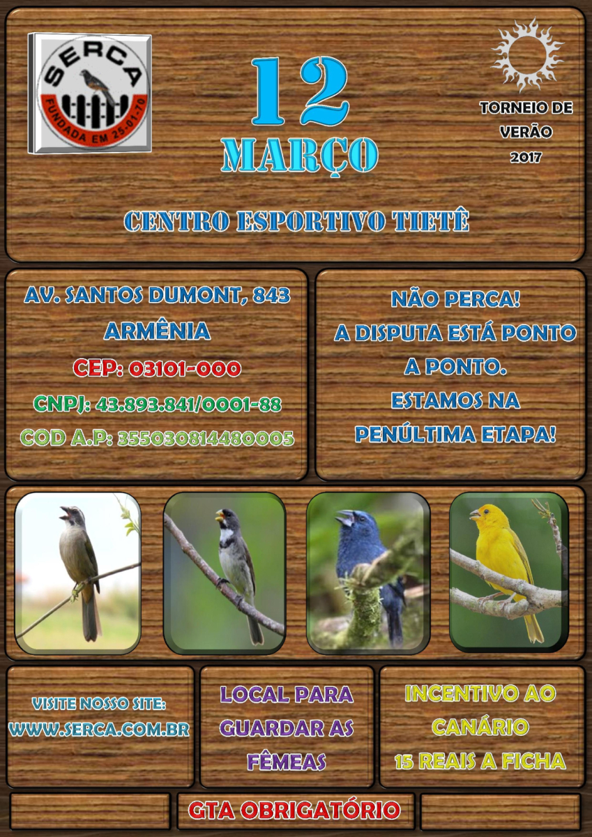 Informativo 12-03.jpg