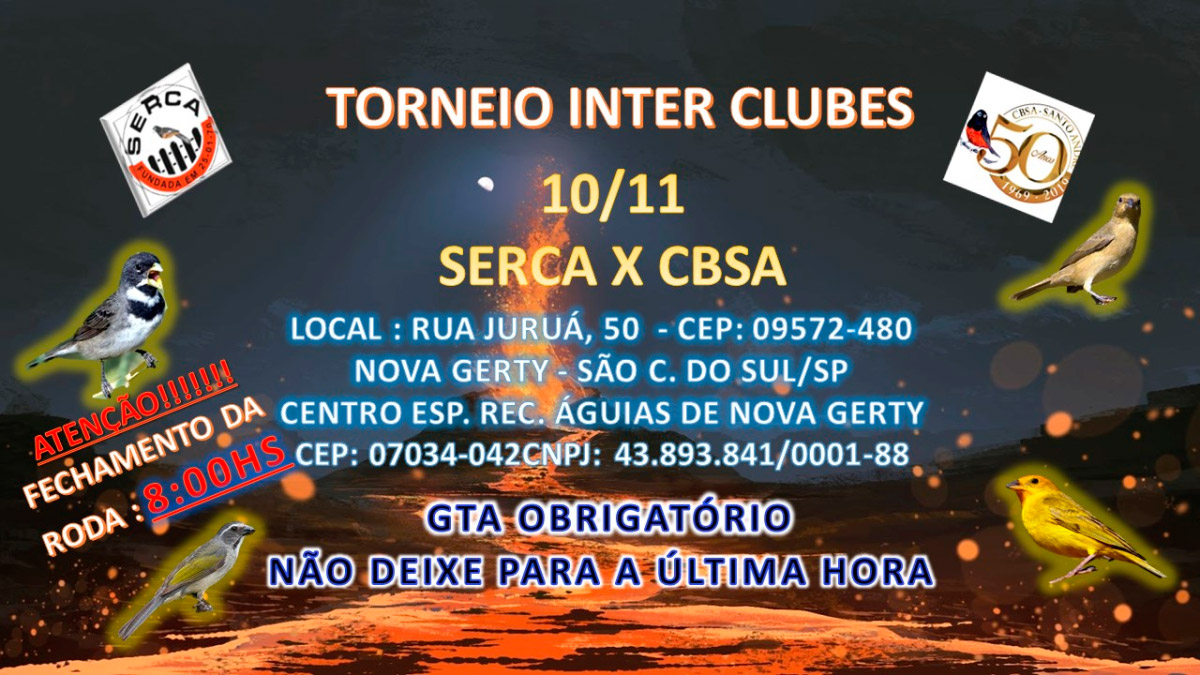 TORNEIO10-11.jpg