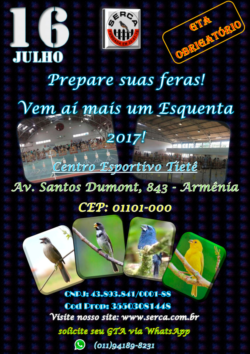 Torneio-16-07-17.jpg