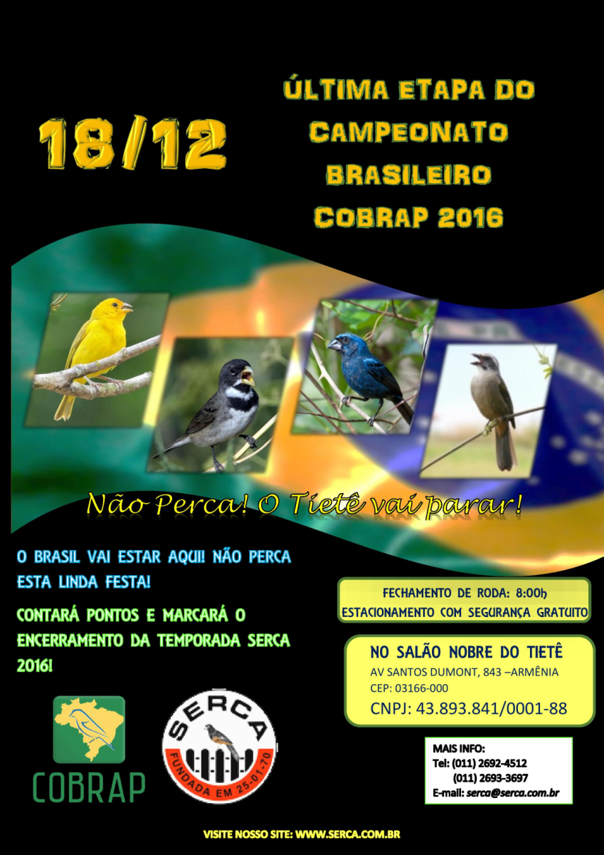 informativo TESTE 18-12-2 PRETO-page-001.jpg