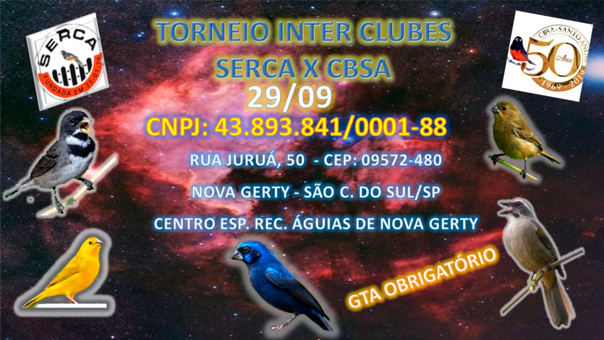 torneio2909.jpg