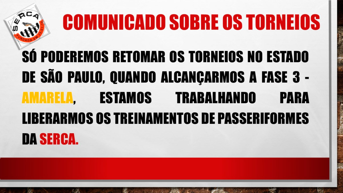 torneios21.jpg