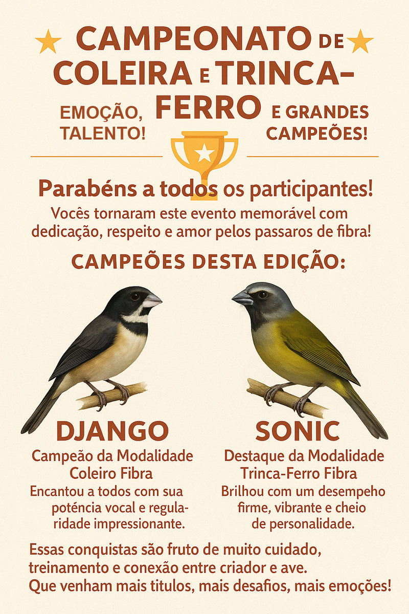 Campeoes-verao-2025.jpg (472 KB)