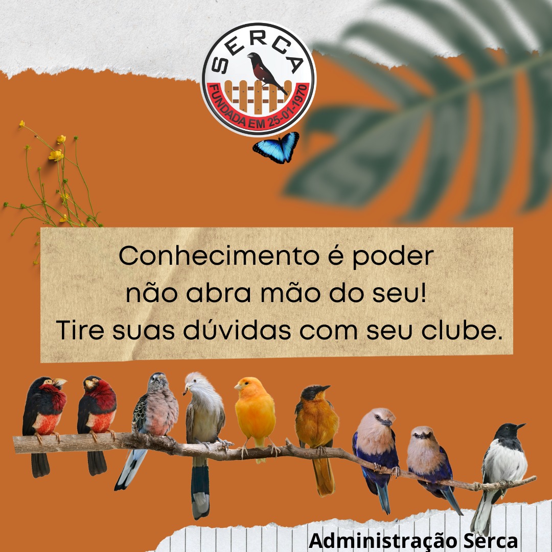 Seu Direito!