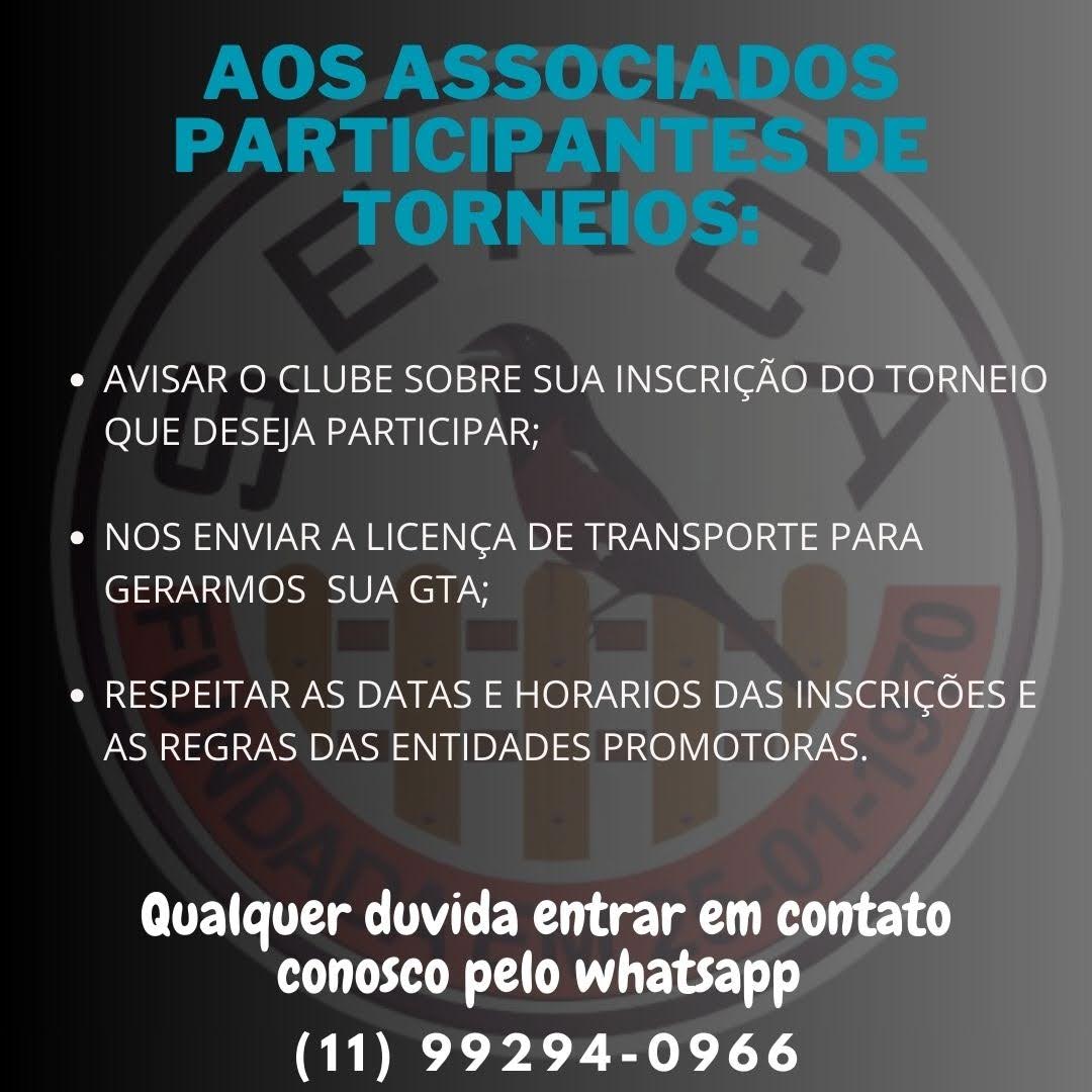 Torneios