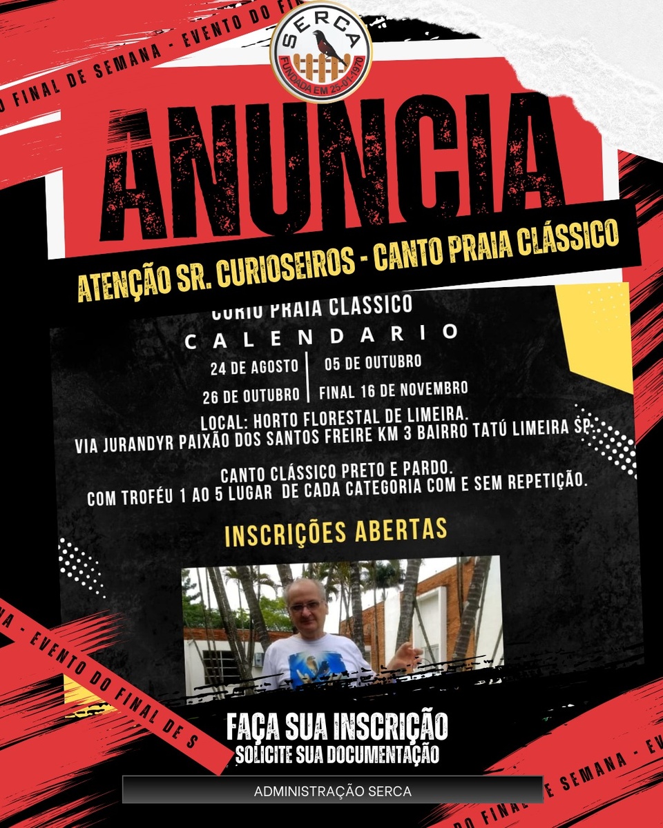 CALENDARIO CURIO 2025